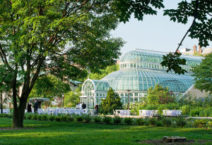 brooklyn-botanic-garden